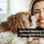 Spiritual Meaning Of Dogs Chasing You In A Dream